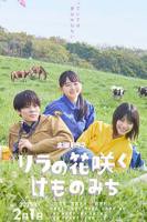 《丁香花开的兽道》免费观看在线看电视剧