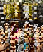 鸭王1电视剧粤语在线观看全集高清 免费播放片大片