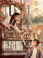 《你好1983》电视剧全集完整版免费在线观看