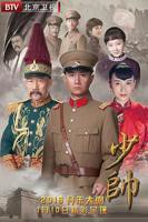 少帅电视剧免费完整版在线看