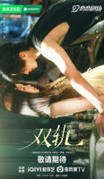 《双轨》电视剧免费观看全集 最新电视剧