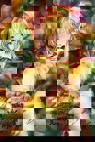 哥布林的巢洞1-4集免费观看动漫